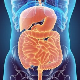 Gastroenterology Education Resources