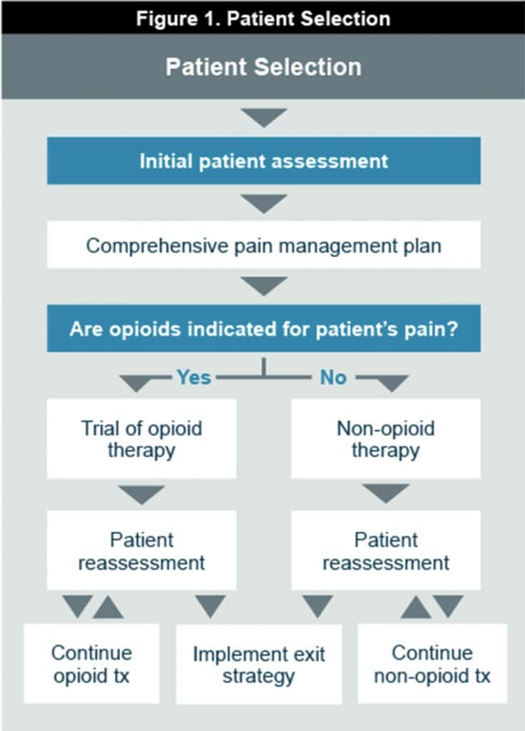 Time To Listen: What The Experts Have To Say About Safe Opioid ...