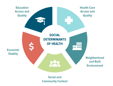 Social Determinants of Health (SDoH) and Primary Immunodeficiency Disease (PIDD): A Resource for the Interprofessional Care Team