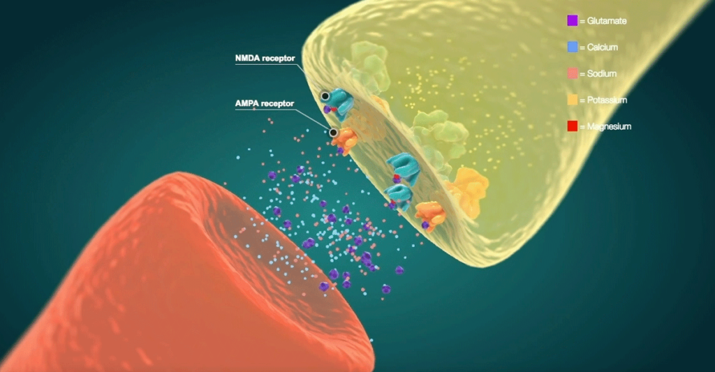 See highly-technical and animated 3D renderings of how the body processes pain signals, and how the signals are blocked by opioids and other drugs of abuse.